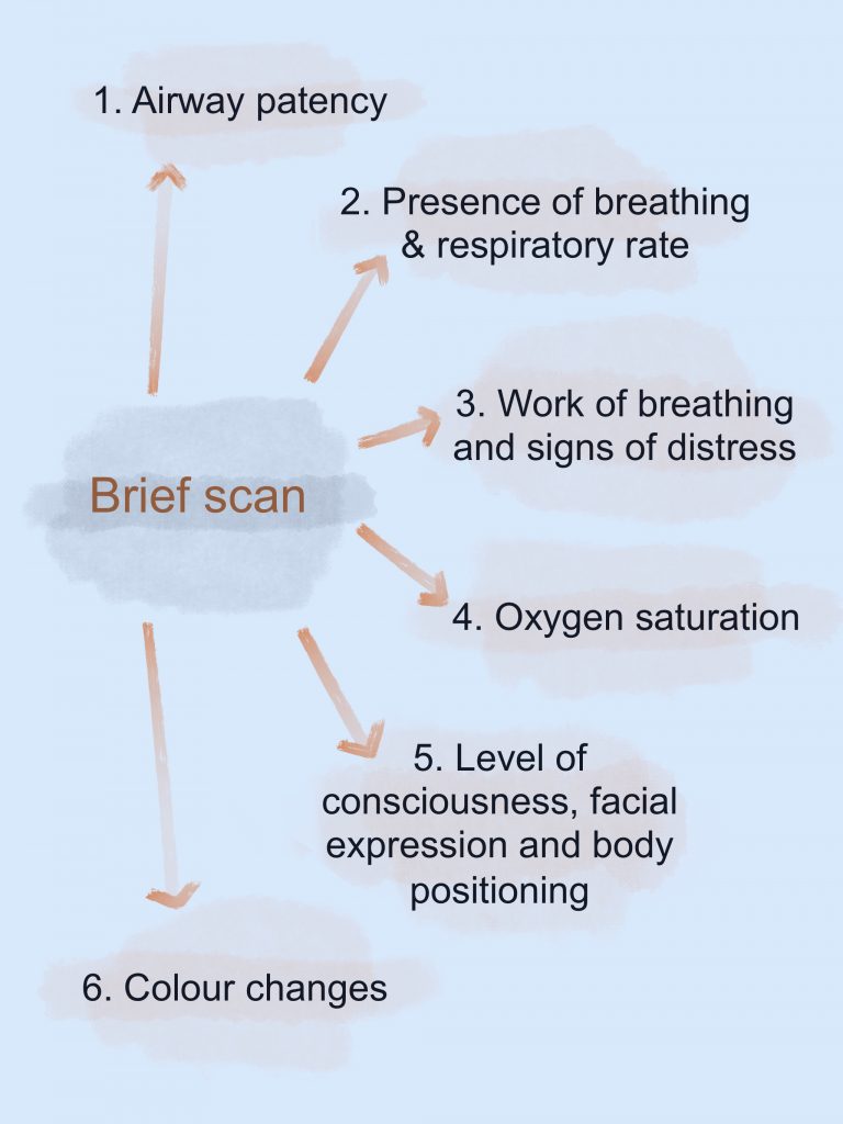 Shows the six components of a brief scan that are described in the text below.