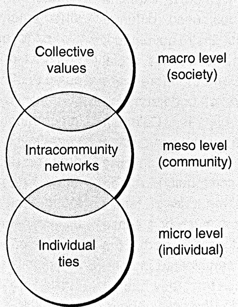 At the macro level, society, there are collective values. At the meso level, community, there are intracommunity networks. At the micro level, individual, there are individual ties.