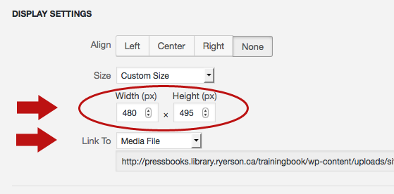 Figure 7. Customize the size and make sure the image is linked to its media file