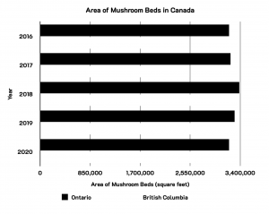 The bar graph above illustrates poor contrast by presenting two bars; 1 for mushroom beds in Ontario and 1 for British Columbia. Both bars are similar colours to each other and the black background.