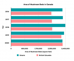 The bar graph above illustrates good contrast by presenting two bars; 1 for mushroom beds in Ontario and 1 for British Columbia. Both bars are a contrasting colour from the white background.
