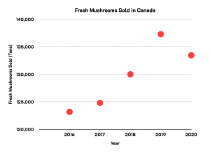 A scatter plot showing an increasing trend 2016-2019 and a decreasing trend 2019-2020 of fresh mushroom sales.