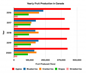 The bar graph above shows the production of apples, blueberries, cranberries, grapes, and strawberries over 2016-2020 in Canada, with apples being produced more than any other fruit throughout all years.