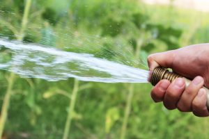 A person covers the end of a hose with their thumb, causing the water to spray. This is an analogy often used to explain how the plaque build-up in arteries can cause high blood pressure.