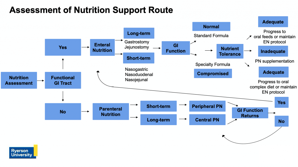 "Assessment of Nutrition Support Route" flow diagram. Long description is below.