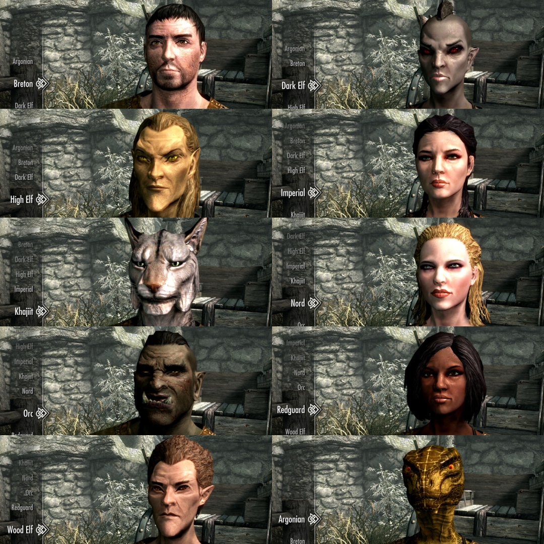 A grid of 10 screenshots from an Elder Scrolls game. 1: A Breton man with light skin and brown hair. 2: A dark elf woman with dark grey skin, angular features, red eyes, and a dark mohawk. 3: A high elf man with golden skin, long hair, and eyes with angular features. 4: An imperial woman with light skin and brown hair. 5: A Khajit man with the face of a grey cat. 6: A Nord woman with pale skin and blonde hair. 7: An Orc man with dark skin, dark short hair, wrinkled face, tusks, and pointed ears. 8: A redguard woman with brown skin and medium length dark brown hair. 9: A wood elf man with light skin, light brown hair, and angular features. 10: An Argonian woman with a lizard-like face, green reptilian skin and features, and red eyes.