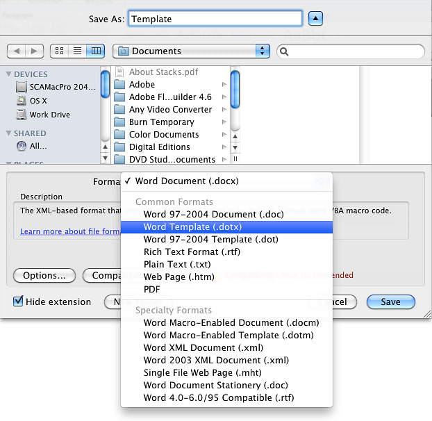 Screenshot of the template option in the save dialog box.