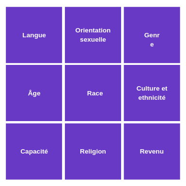 Langue Orientation sexuelle Genre Âge Race Culture et ethnicité Capacité Religion Revenu