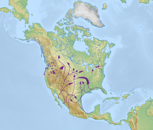 This is a detailed map of North America with a series of arrows representing the movement of various different types of marine shells across the continent. The arrows mostly start on the western, eastern and southern shores and move inland across the continent. The longest arrow travels from the Gulf of California to present-day northern Alberta.