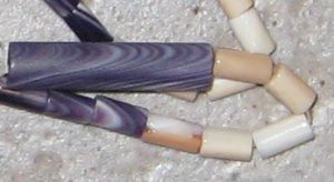A string of purple and white wampum beads. The purple beads have clearly visible grain while the white beads have brownish spots. The beads are strung on a length of sinew.