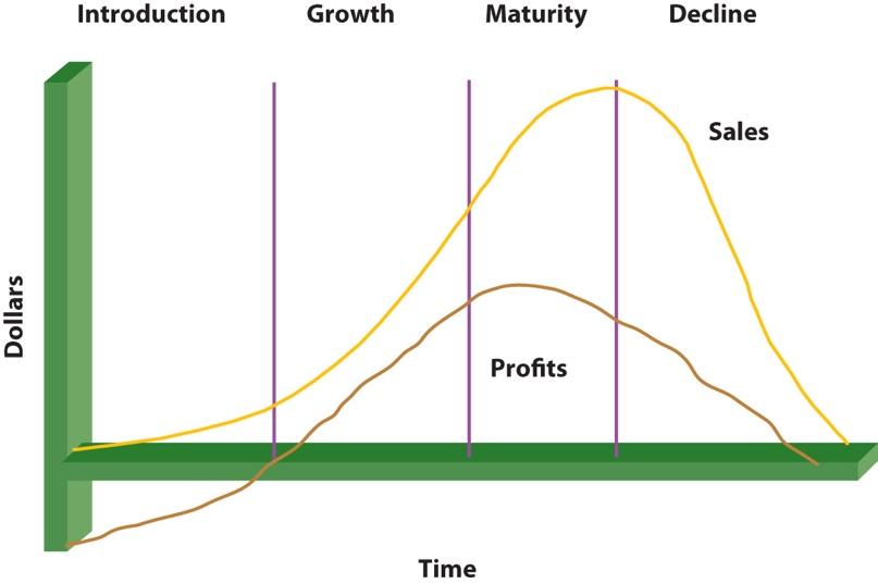 The life cycle has four stages: introduction, growth, maturity and decline