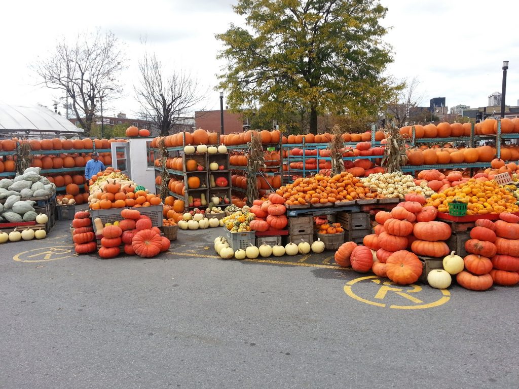 Seasonal Pumpkin Market in Montreal