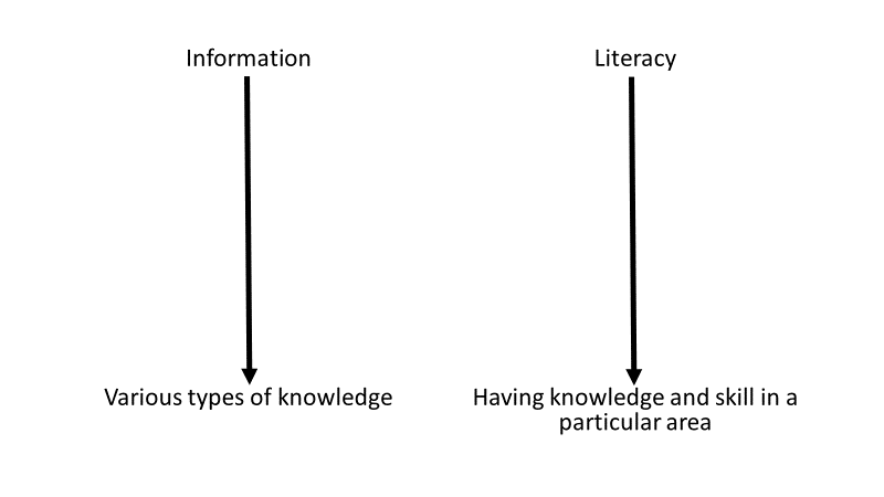 A diagram showing that information includes various type of knowledge and literacy includes having knowledge and skill in a particular area.