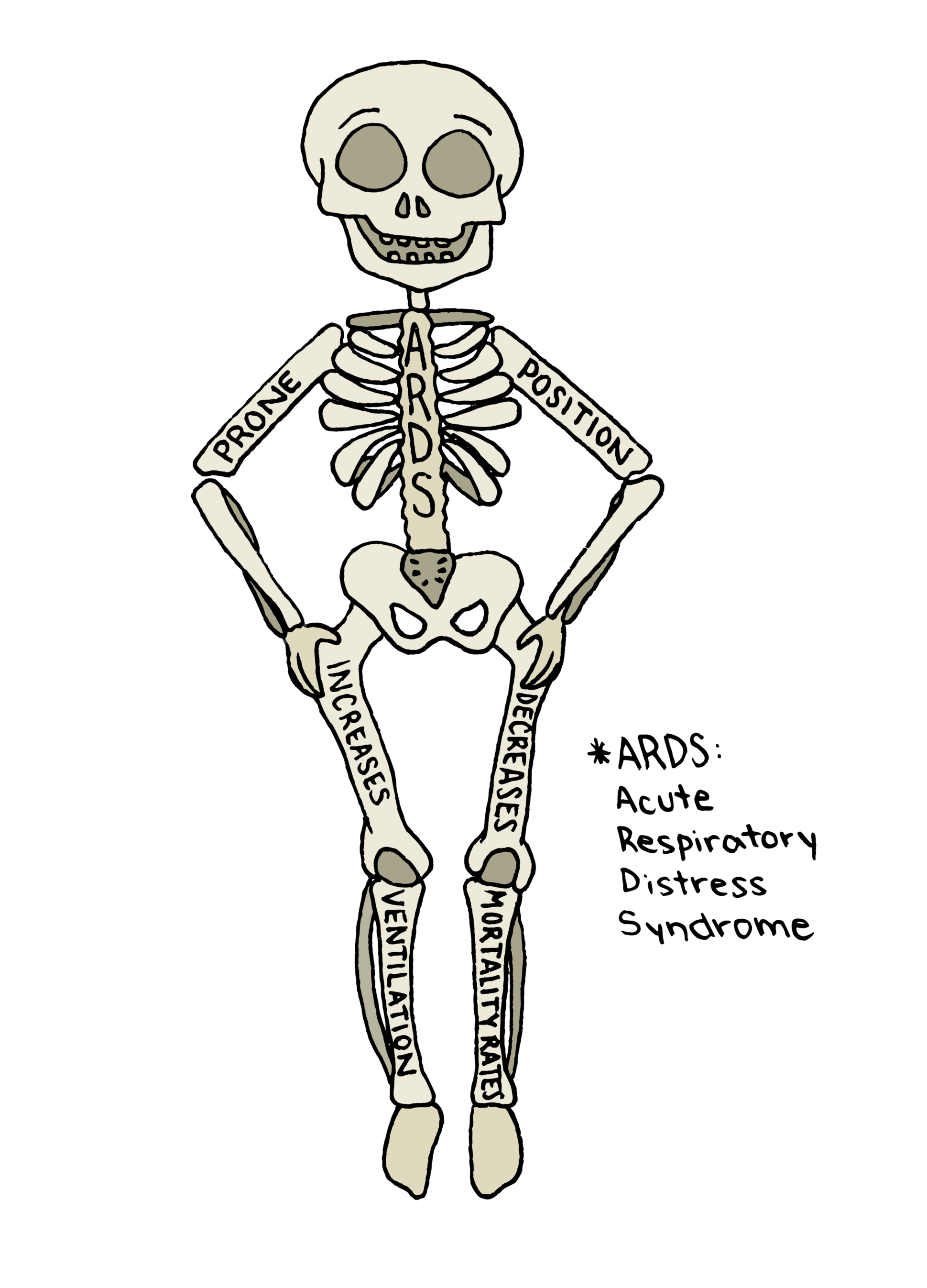 Skeleton with spine labelled healthcare funding and the limbs are words from the thesis statement