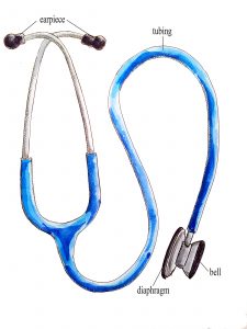 Stethoscope with bell and diaphragm capacity