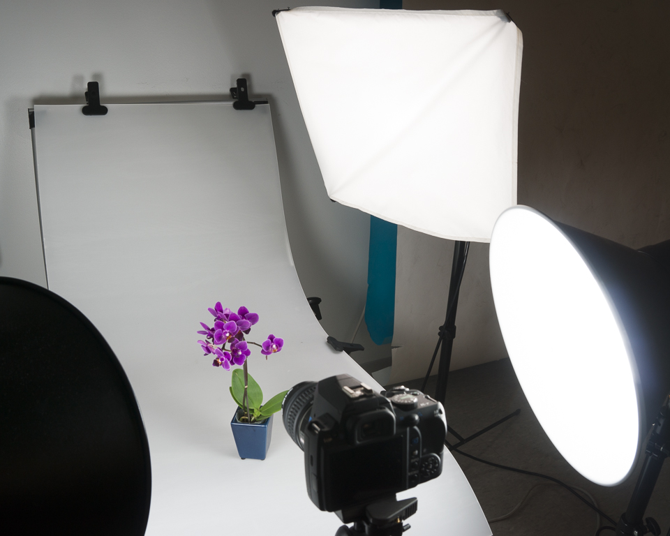 Two studio lights with various types of diffusers, including transmissive “soft boxes,” as in the photo, and reflective umbrellas.