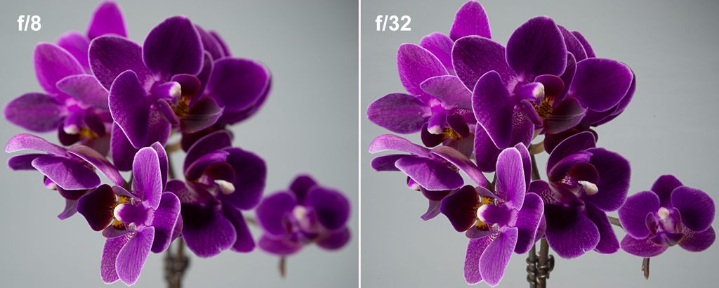 Miniature orchid photographed with an wide aperture (f/8, left) and narrow aperture (f/32, right) providing greater depth of field.