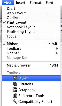 Image demonstrates the location of "Styles" in" view" drop down menu.