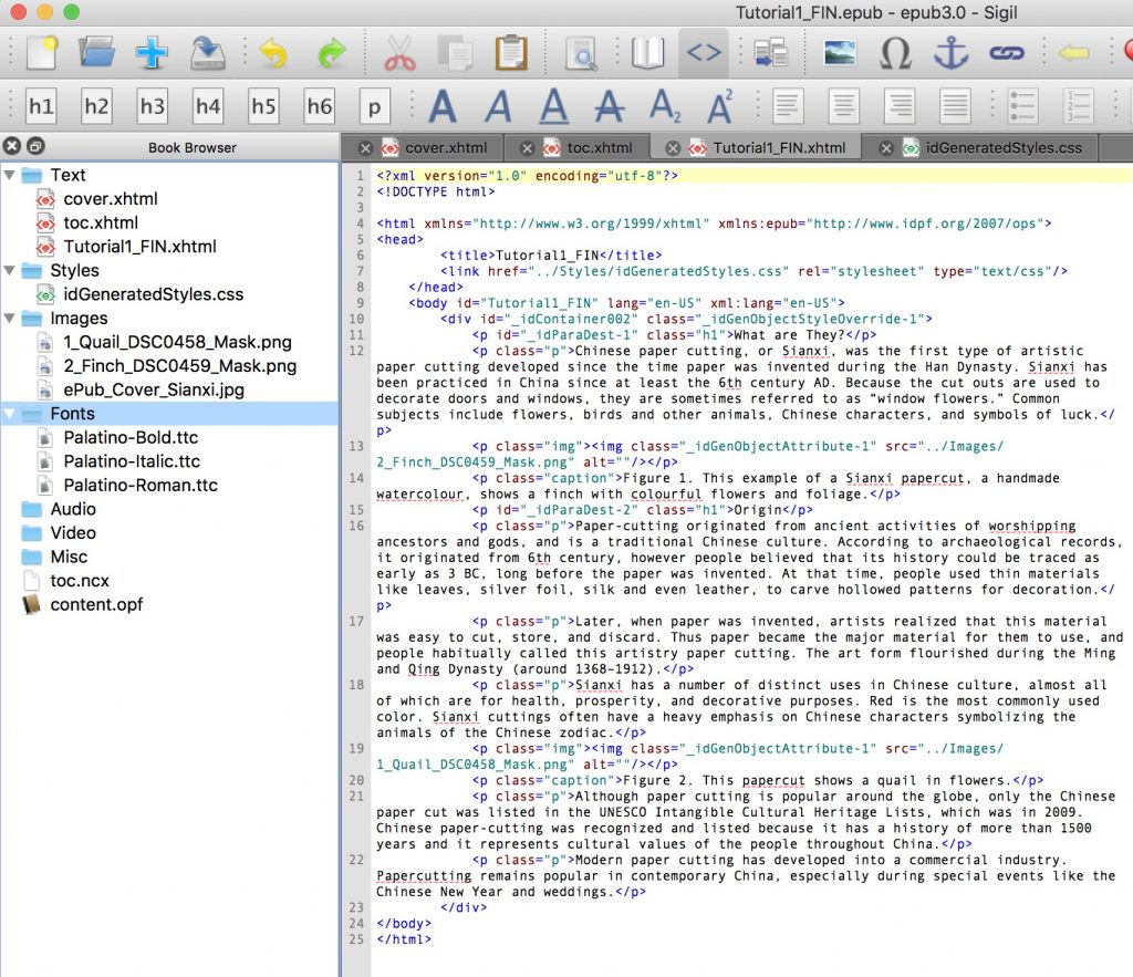 Screenshot of an eBook editor software highlighting personalized fonts files